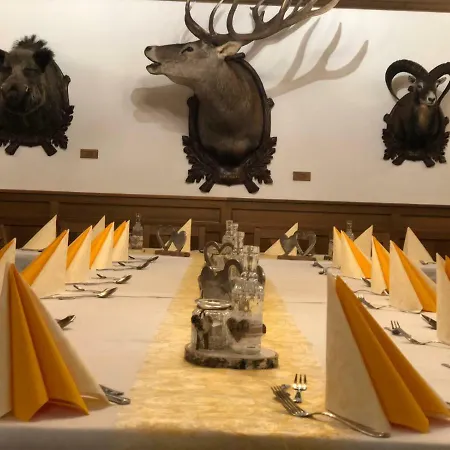 Πανσιόν Restaurace U Jelena Železná Ruda